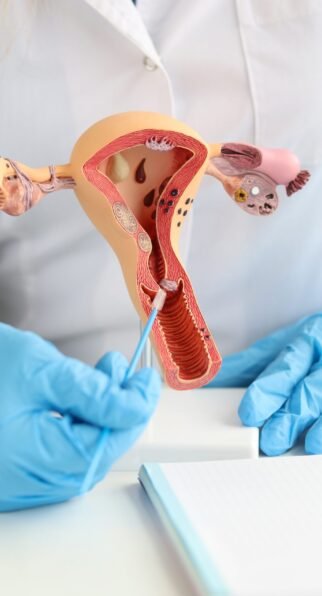 gynecologist-holds-model-female-reproductive-system-cytological-brush-study-female-reproductive-system-concept